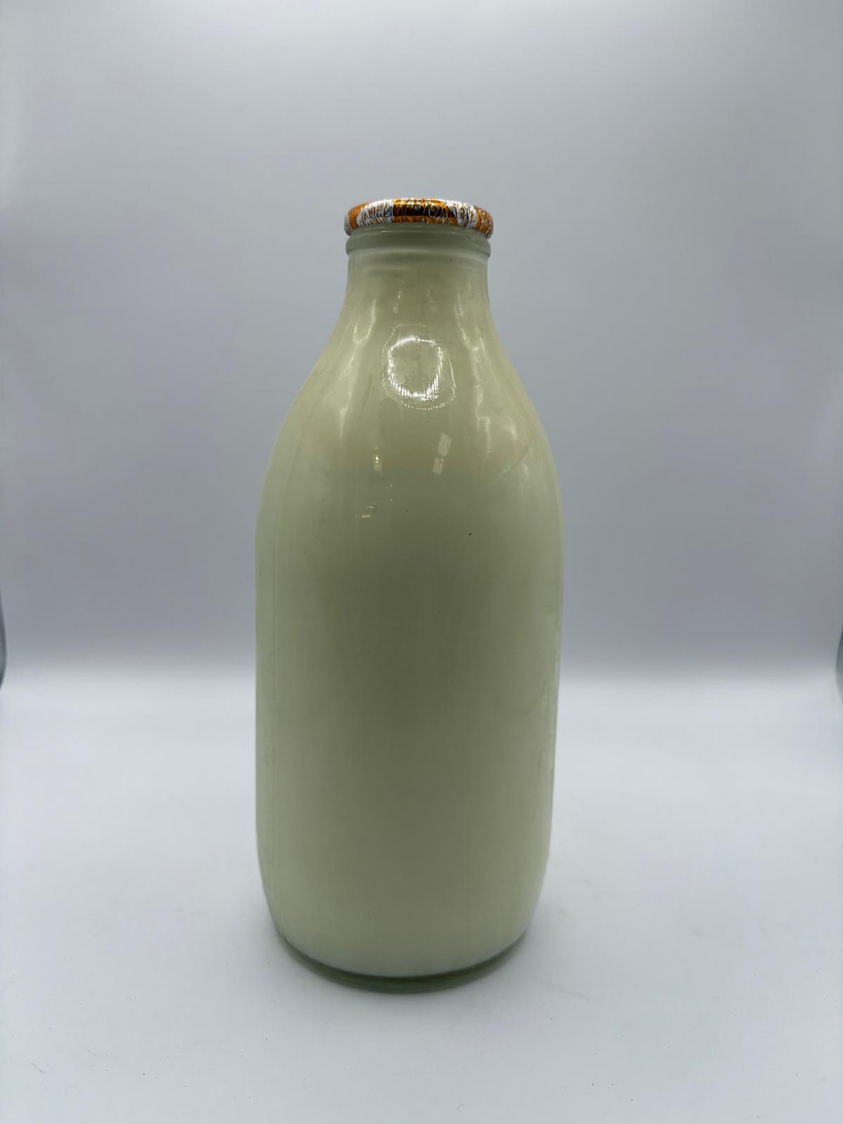 Channel Island (Gold Top) 1pint Glass £1.30